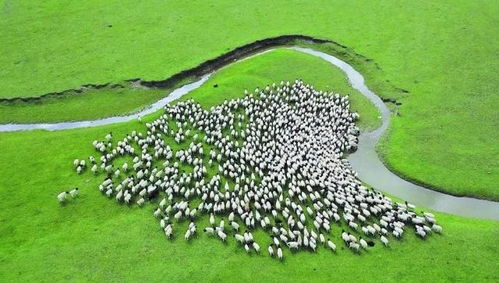 新疆 以環(huán)保為基，升級(jí)設(shè)施與服務(wù)，打造高品質(zhì)旅游新名片